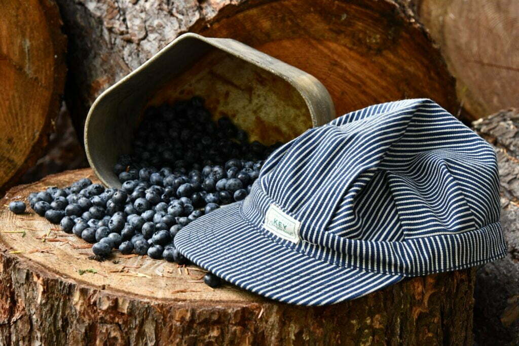 gray cap and blackberries