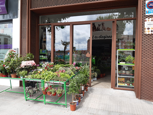 Tierra Animal, productos para nuestras mascotas y nuestros jardines en el barrio Puerta de Cuartos