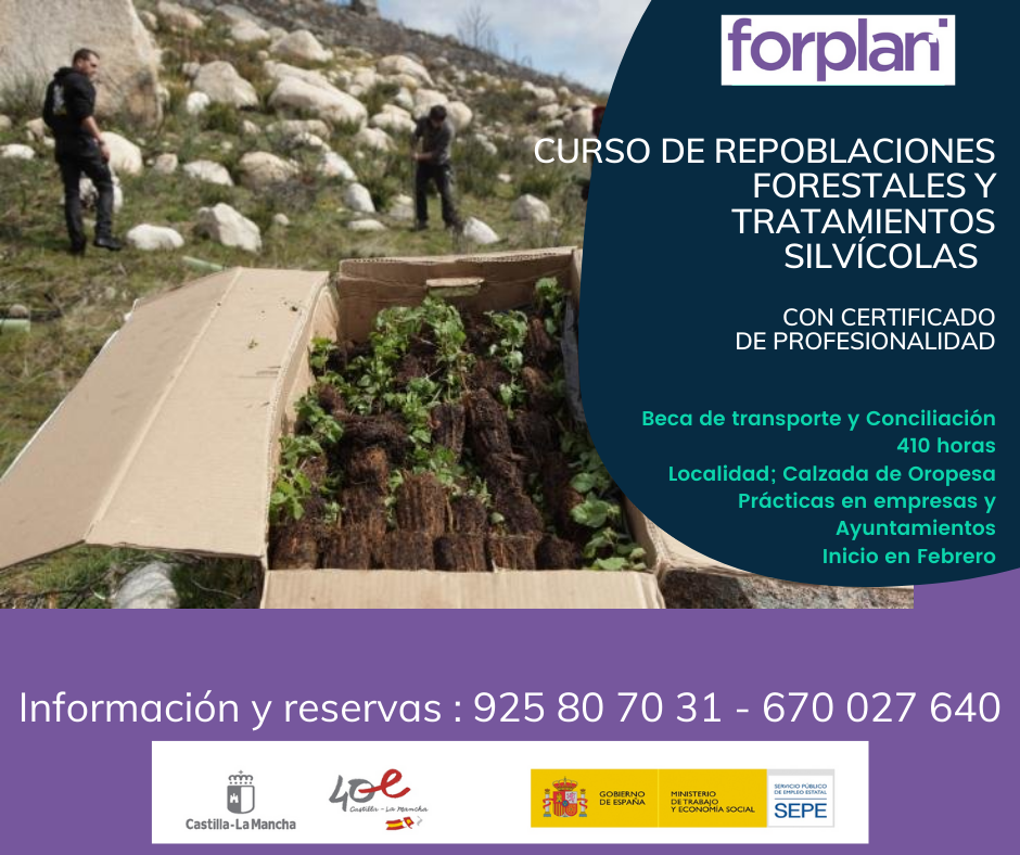 Curso gratuito: Repoblaciones Forestales y Tratamientos Silvícolas 