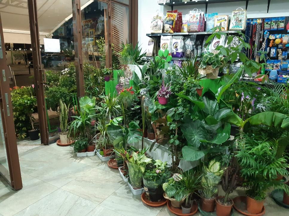 Tierra Animal, productos para nuestras mascotas y nuestros jardines en el barrio Puerta de Cuartos