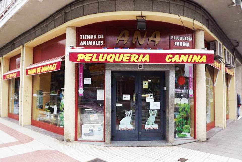 Tienda de animales Ana, 16 años en el barrio Fray Hernando