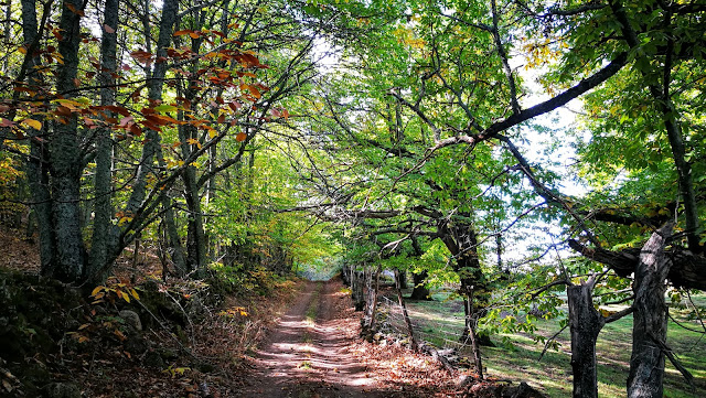 Los 7 pueblos más bonitos de la Sierra de San Vicente