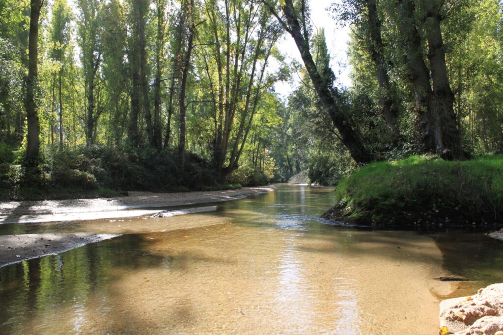 Escalona, descubre sus 4 zonas de baño para refrescarte este verano 