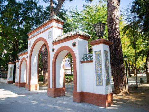 La caída de un árbol en El Prado este domingo apoya la decisión de la remodelación del gobierno