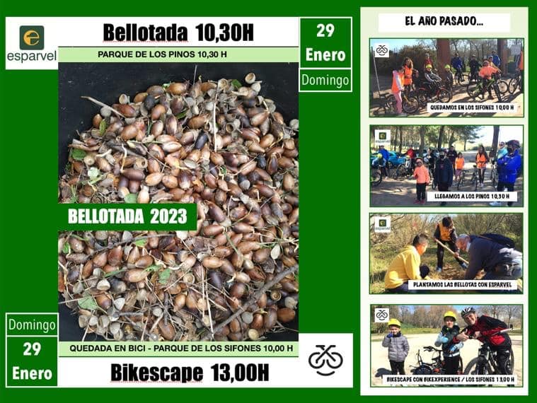 Qué hacer hoy en Talavera, domingo 29 de enero: Bellotada, primer plogging del año y mucho más...