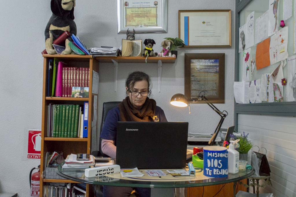 Consultorio Veterinario El Buen Pastor, los mejores cuidados para nuestras mascotas