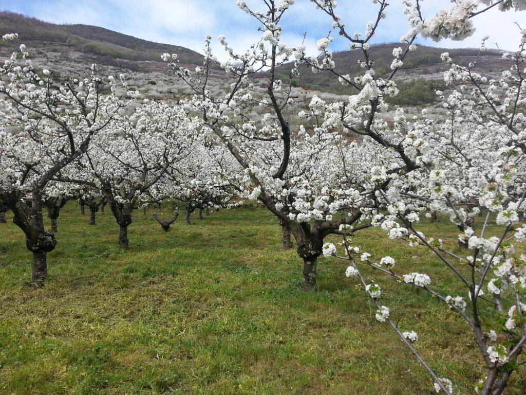 El Valle del Jerte, cascadas de ensueño a menos de dos horas de Talavera