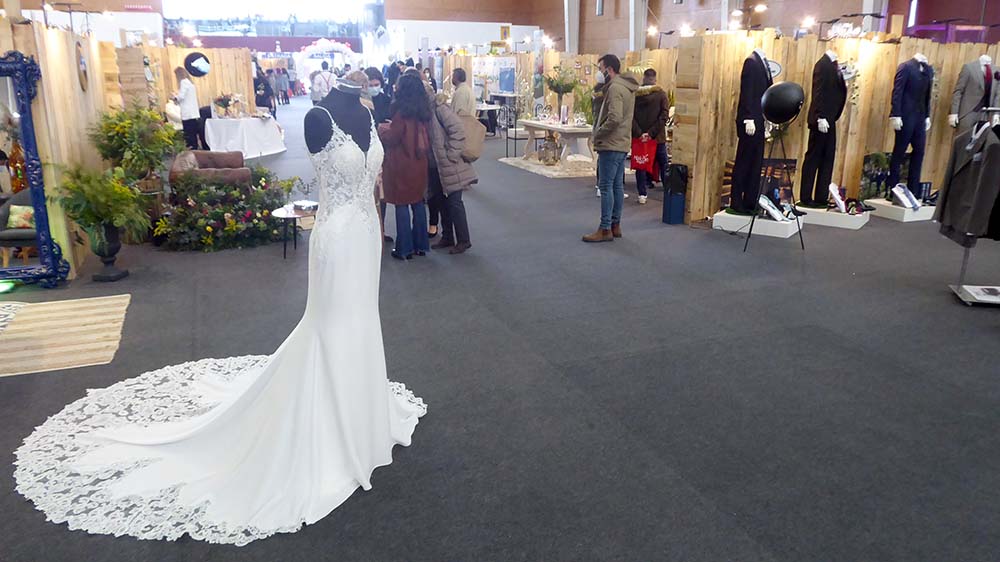 Qué hacer hoy en Talavera, domingo 15 de enero: San Antón, Feria de la boda y mucho más...