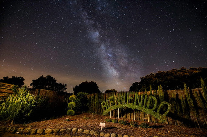 Descubre el Bosque Encantado: un jardín botánico de ensueño a una hora de Talavera