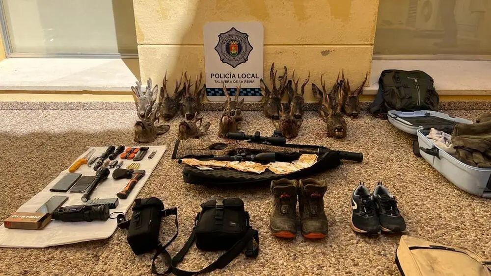 Detenidos dos furtivos en Talavera con armas de caza mayor y 13 cabezas de corzo en su vehículo
