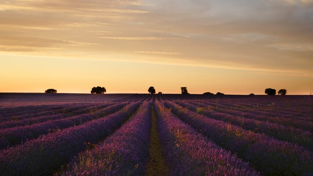 Descubre algunos de los pueblos con más encanto de Castilla - La Mancha