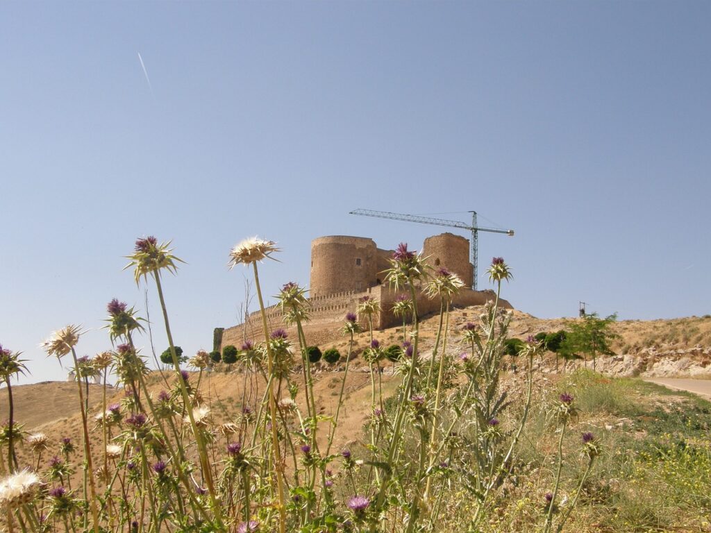 Castillo de Consuegra en Toledo.