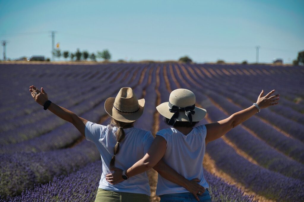 Los campos de lavanda son un reclamo turístico de la región.