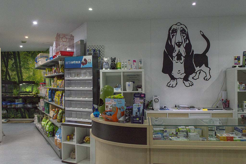 Don Perro: Un negocio dedicado al amor incondicional por los perros