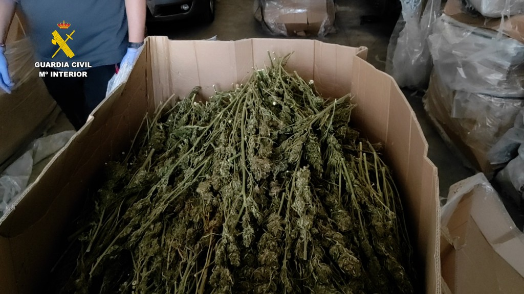 La operación 'Talavero' se salda con un detenido y 2000 kilos de marihuana incautadas