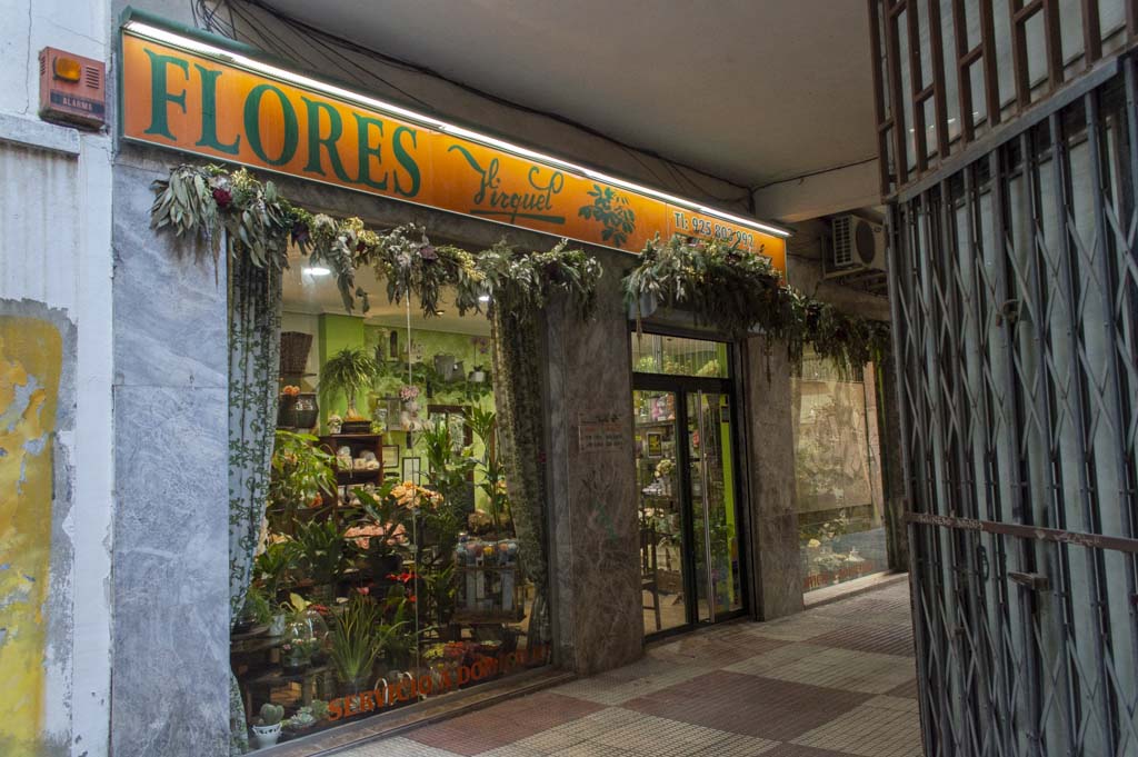 Floristería Virquel: Descubre la excelencia y la pasión por las flores