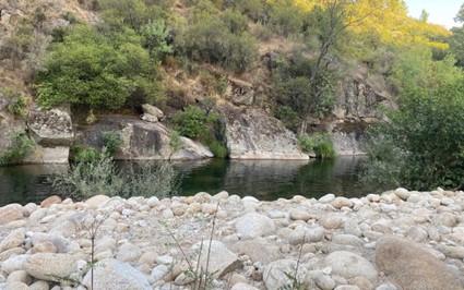 Charco Las Ilillas - La Mora - Foto de NiceLocal