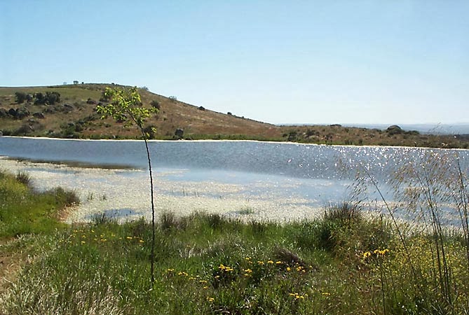 Lago de Tarrarra - Foto de la página 'Pueblos de Toledo con encanto'