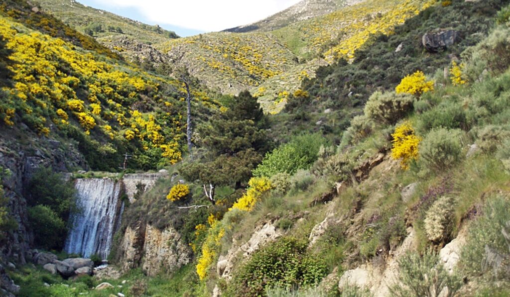 Presa de la Garganta de la Eliza - Foto de Miguel Méndez-Cabeza