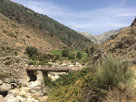 Puente de Tocinos - Foto de lagranescapada.com