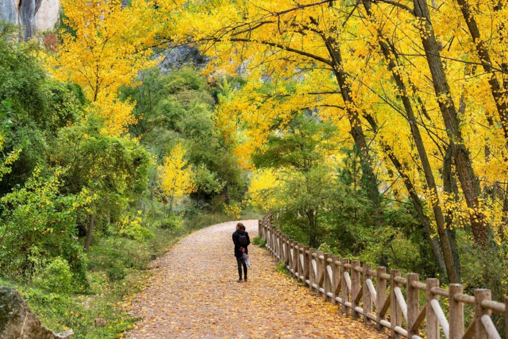 Descubre Cuenca: Patrimonio de la Humanidad y Capital Gastronómica 2023