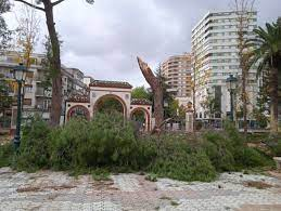 Impacto de la borrasca Ciarán en Talavera: Preocupación por la seguridad y casi 500 incidencias en CLM