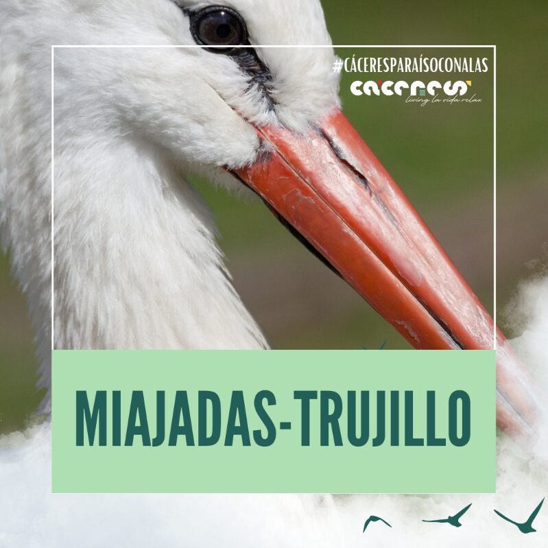 Miajadas - Trujillo: un paraíso de aves a un paso de Talavera
