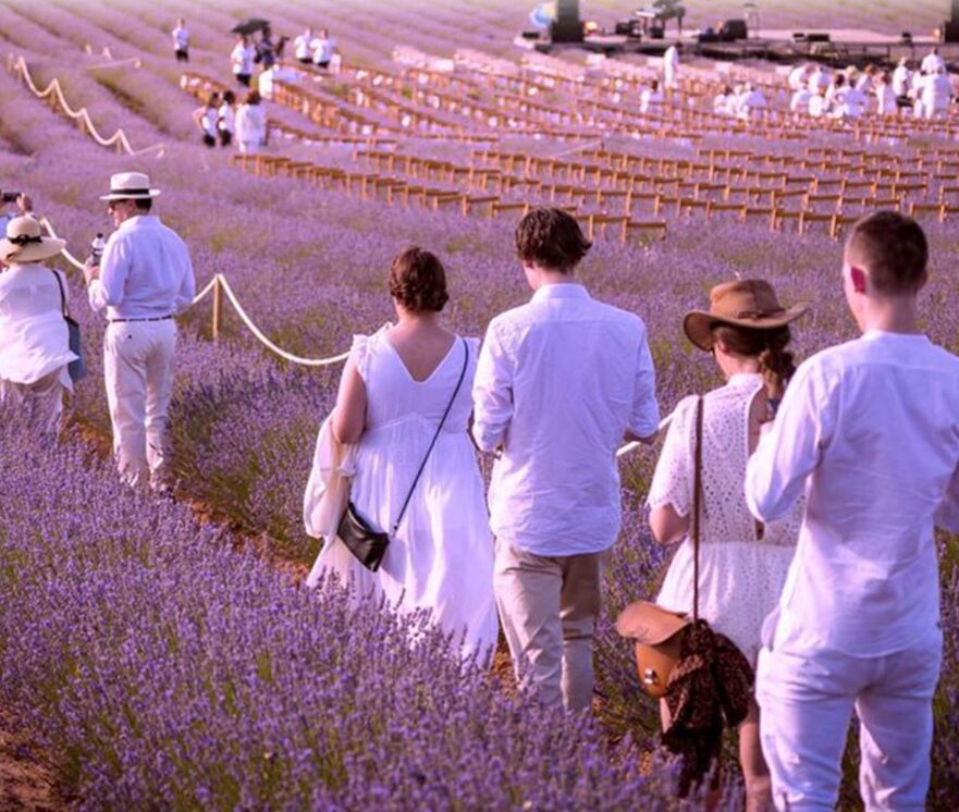 Escapada para disfrutar del espectáculo del Festival de Lavanda (Perfil de Instagram de gobjccm)