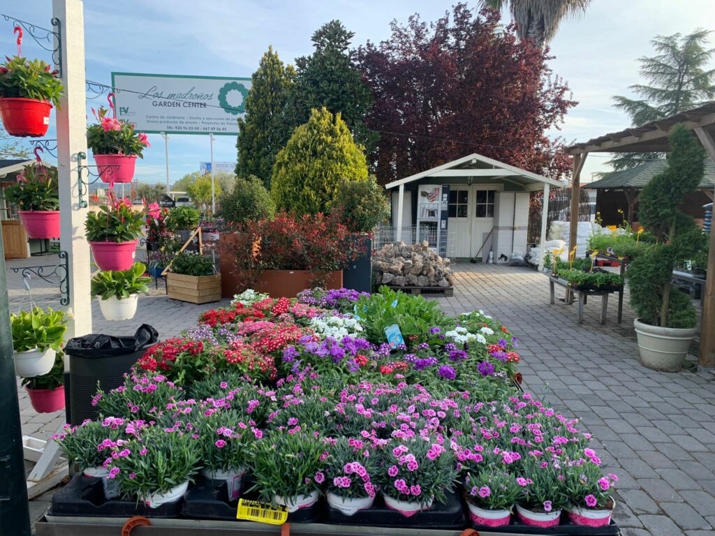 Cómo sorprender a mamá en su día especial con el regalo floral perfecto en GardenCenter 'Los Madroños'