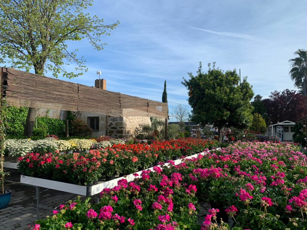 Cómo sorprender a mamá en su día especial con el regalo floral perfecto en GardenCenter 'Los Madroños'