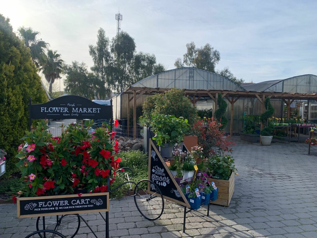 Cómo sorprender a mamá en su día especial con el regalo floral perfecto en GardenCenter 'Los Madroños'