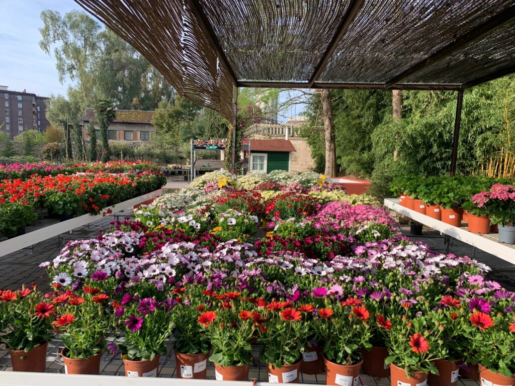 Cómo sorprender a mamá en su día especial con el regalo floral perfecto en GardenCenter 'Los Madroños'