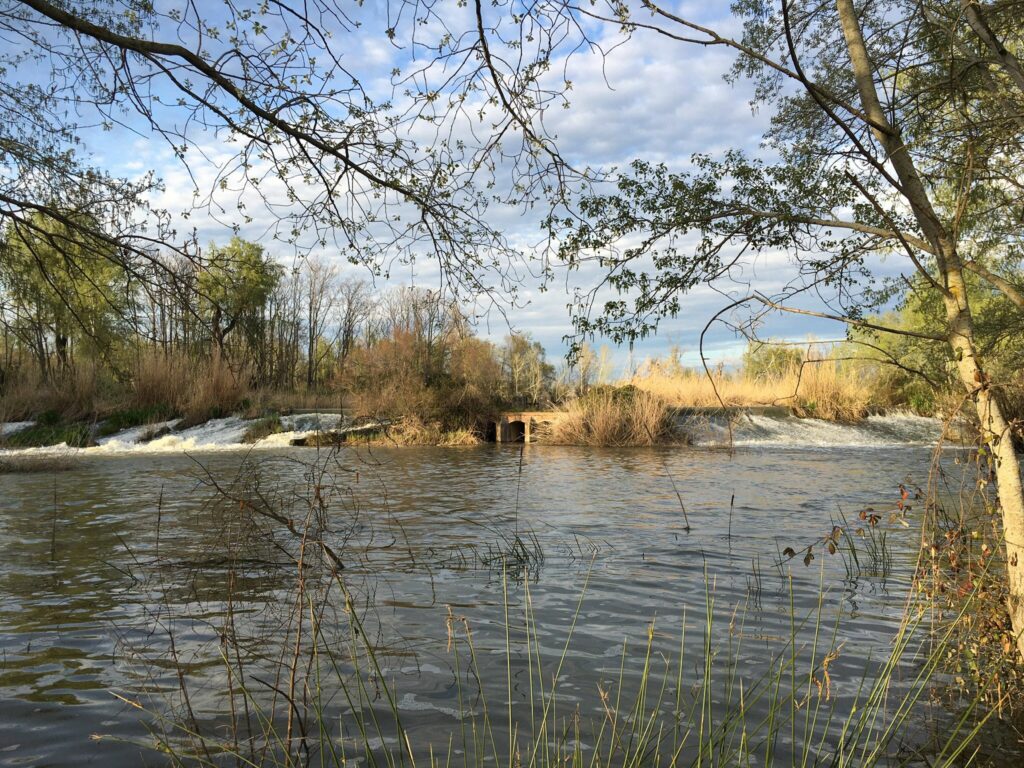 Descubriendo el Parque de los Sifones de Talavera de la Reina