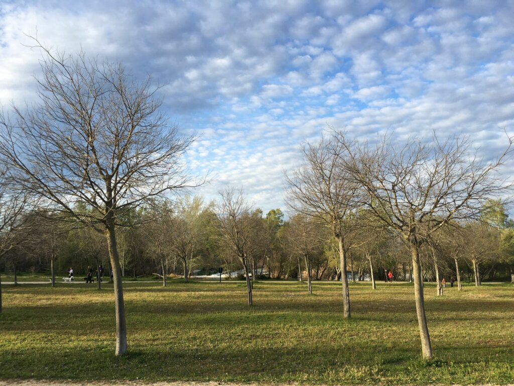 Descubriendo el Parque de los Sifones de Talavera de la Reina