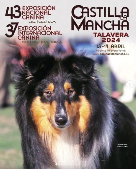 47º Exposición canina en el Recinto Ferial de Talavera
