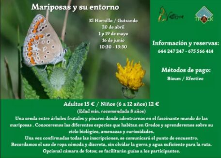 Mariposas y su entorno