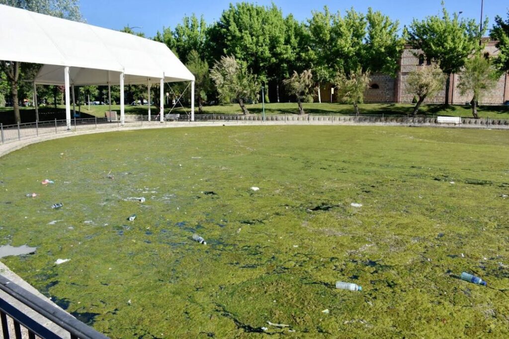 Los lagos de la Alameda: un foco de problemas para la salud pública y mala imagen de ciudad