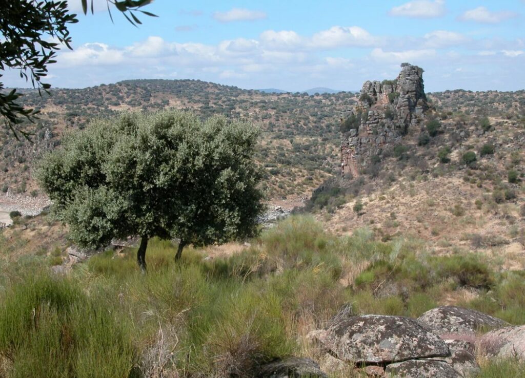 Descubriendo el encanto de Berrocalejo, a menos de una hora de Talavera