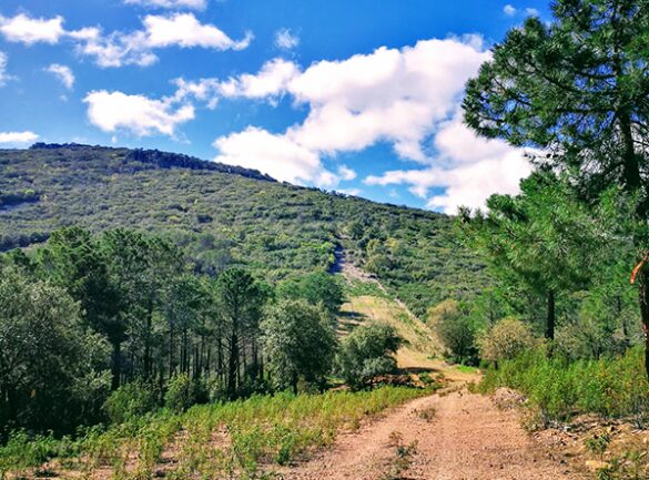 Belvís de la Jara: escapada a menos de 30 minutos de Talavera