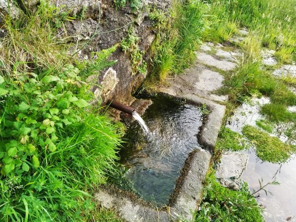 Descubre Piornal, el pueblo más alto de Extremadura y a un paso de Talavera