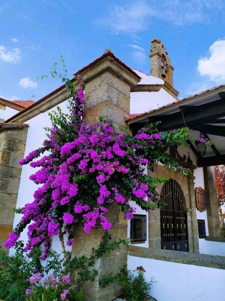 Descubre Piornal, el pueblo más alto de Extremadura y a un paso de Talavera