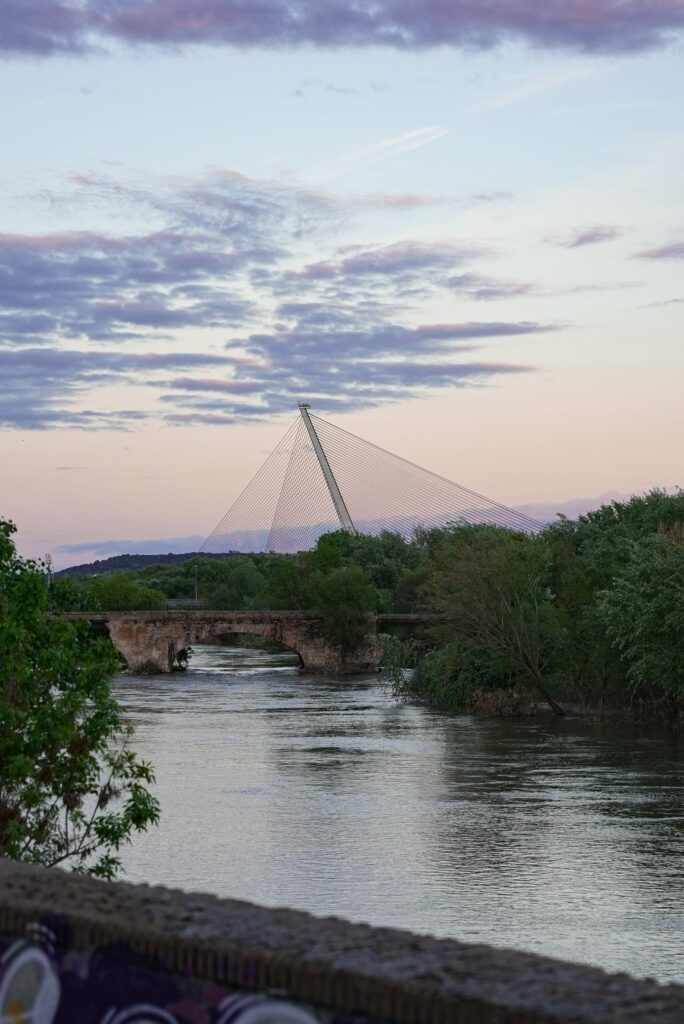 La unanimidad parlamentaria impulsa el reconocimiento oficial de las “Tierras de Talavera”