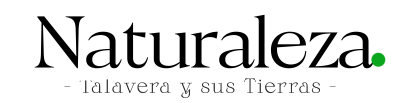 spot_img