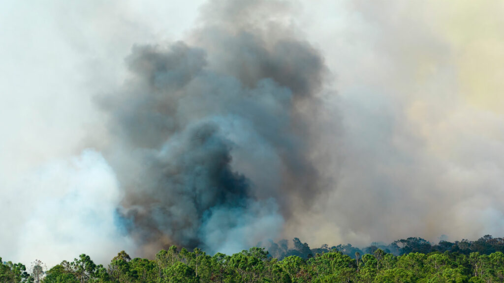 Incendio obliga a cortar la carretera CM-4013