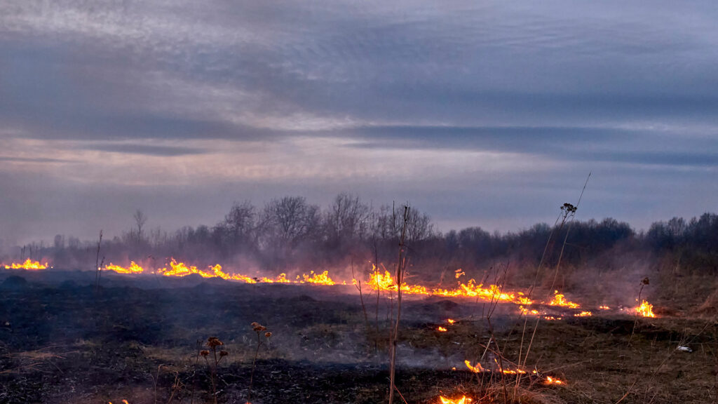 Incendio forestal en Talavera de la Reina