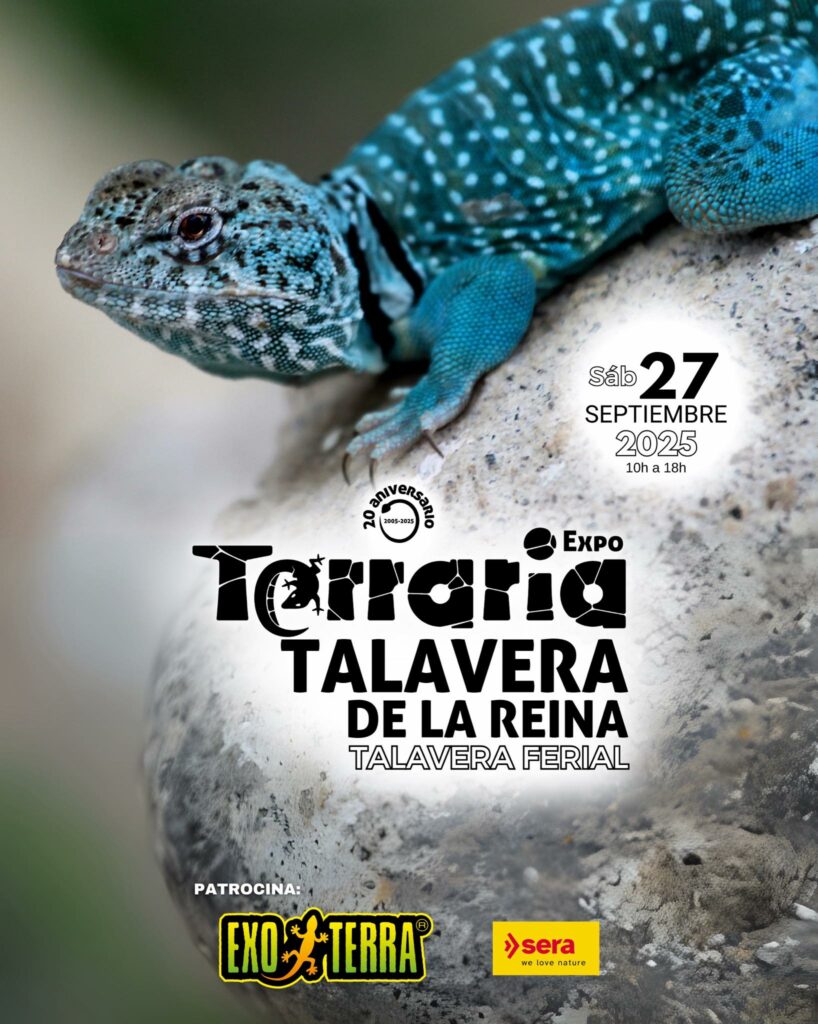 Los eventos que marcarán este otoño en Talavera Ferial