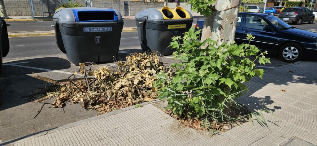 La Avenida de la Constitución, tomada por las malas hierbas