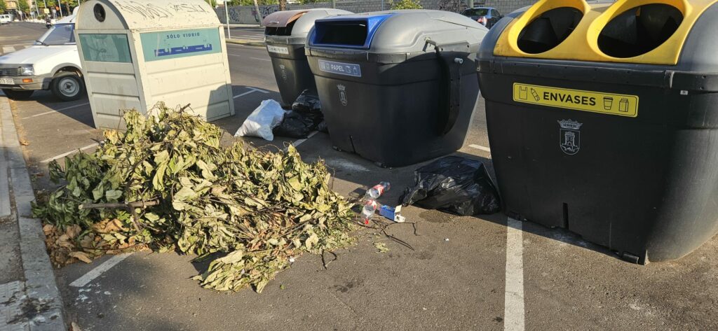 La Avenida de la Constitución, tomada por las malas hierbas