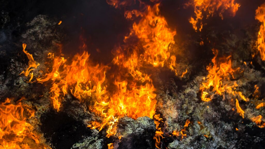 El incendio que casi arrasa con empresas de Talavera