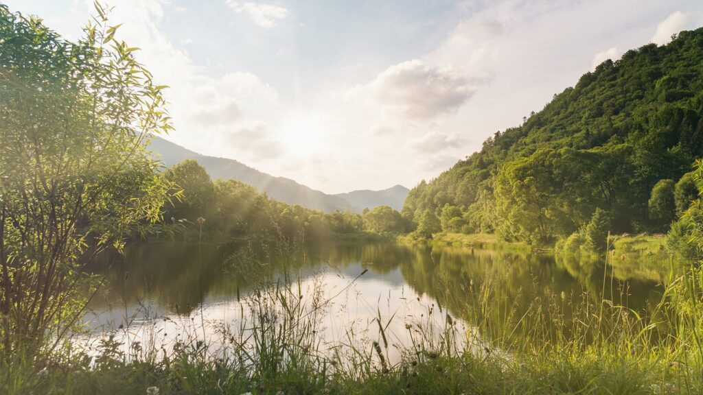 Más de 30 actividades gratuitas para disfrutar de la naturaleza